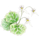 ���L�m�V�^